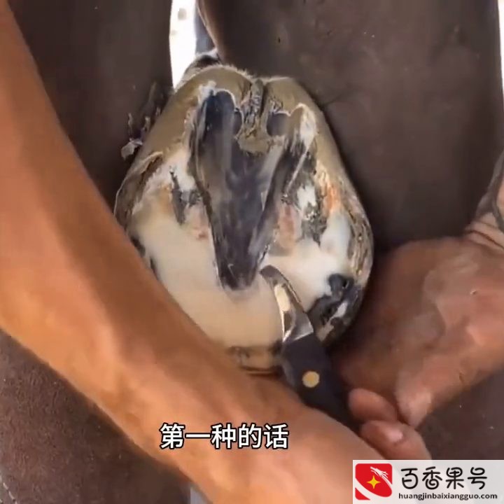 公积金可以取出来吗