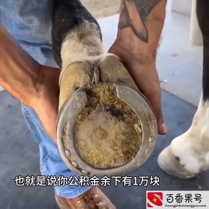 公积金可以取出来吗