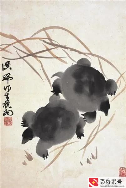 野生甲鱼一般多少一斤?