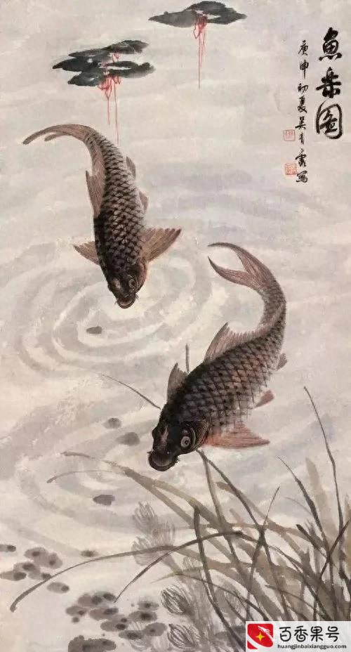 野生甲鱼一般多少一斤?