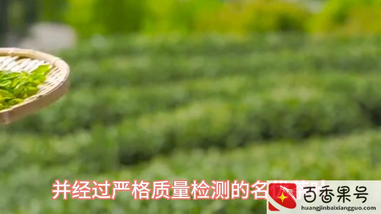 茶叶店的茶叶哪里进货