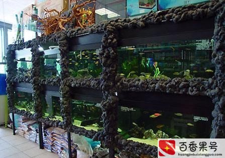 新手开水族店怎么进货