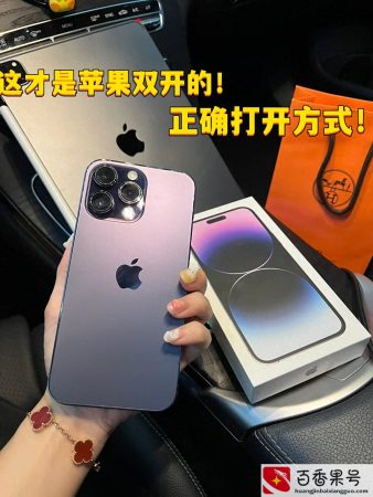 苹果11可以同时上两个微信吗