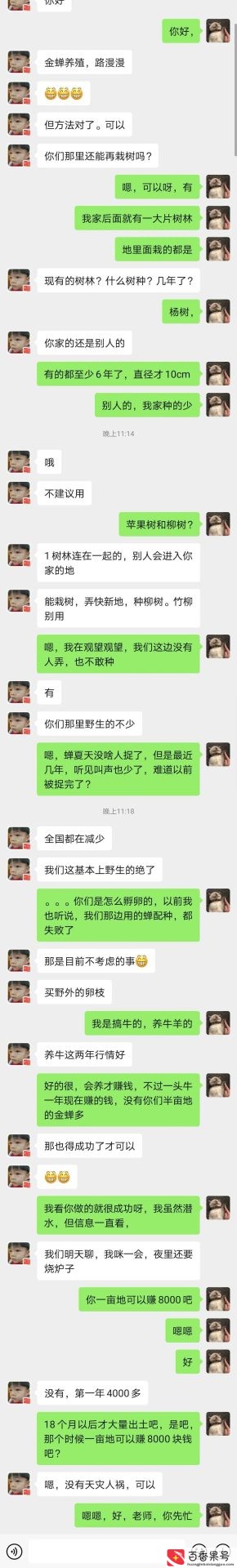 养蝉一亩地能赚多少钱