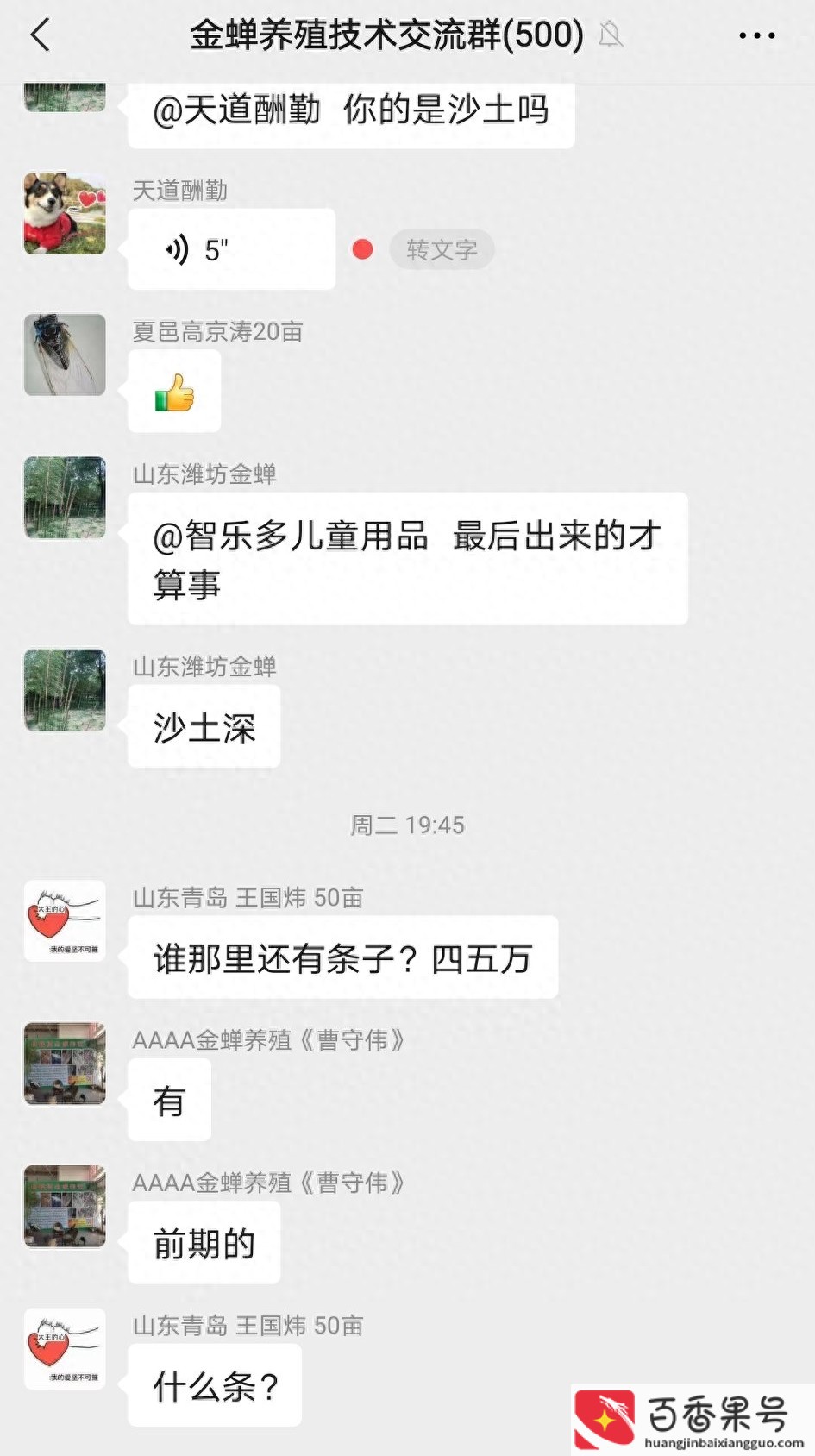 养蝉一亩地能赚多少钱