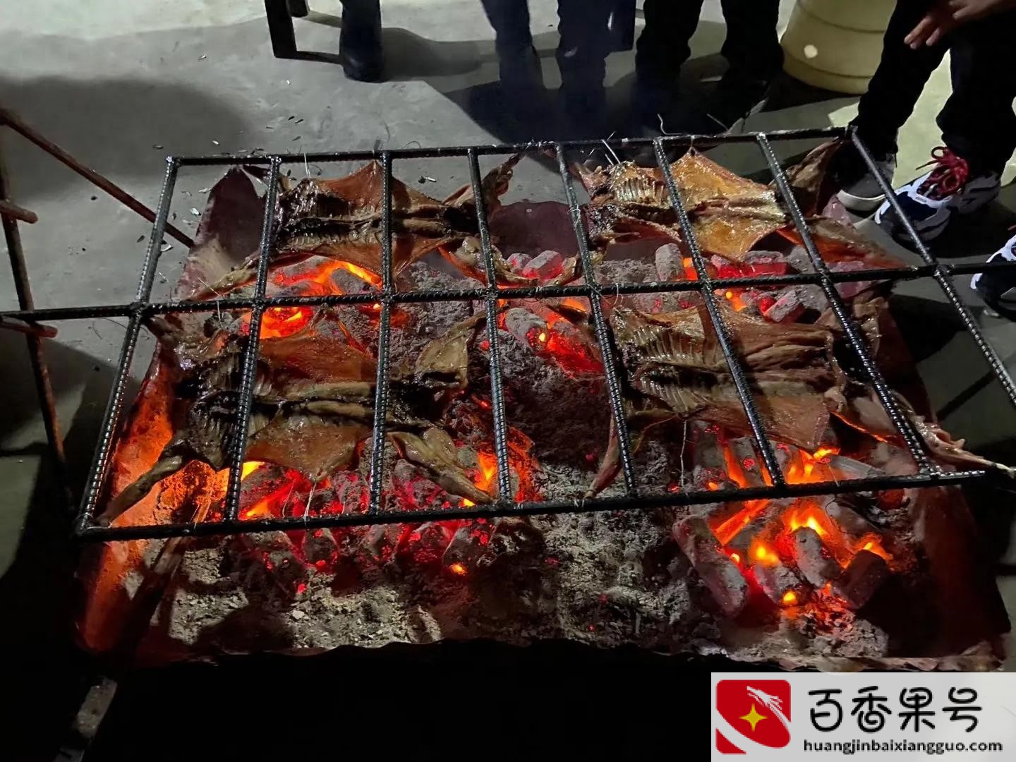 豚鼠养殖前景及利润