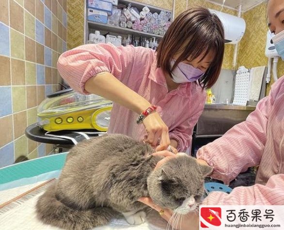 今年适合做啥生意赚钱