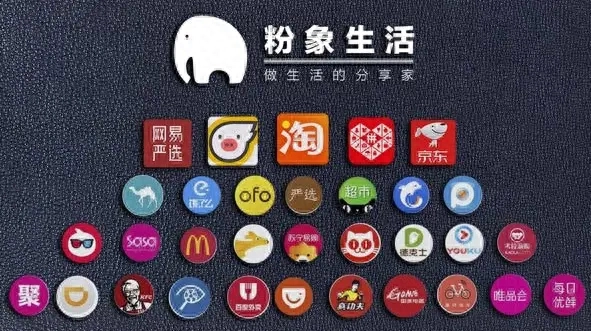 粉象生活怎么赚钱