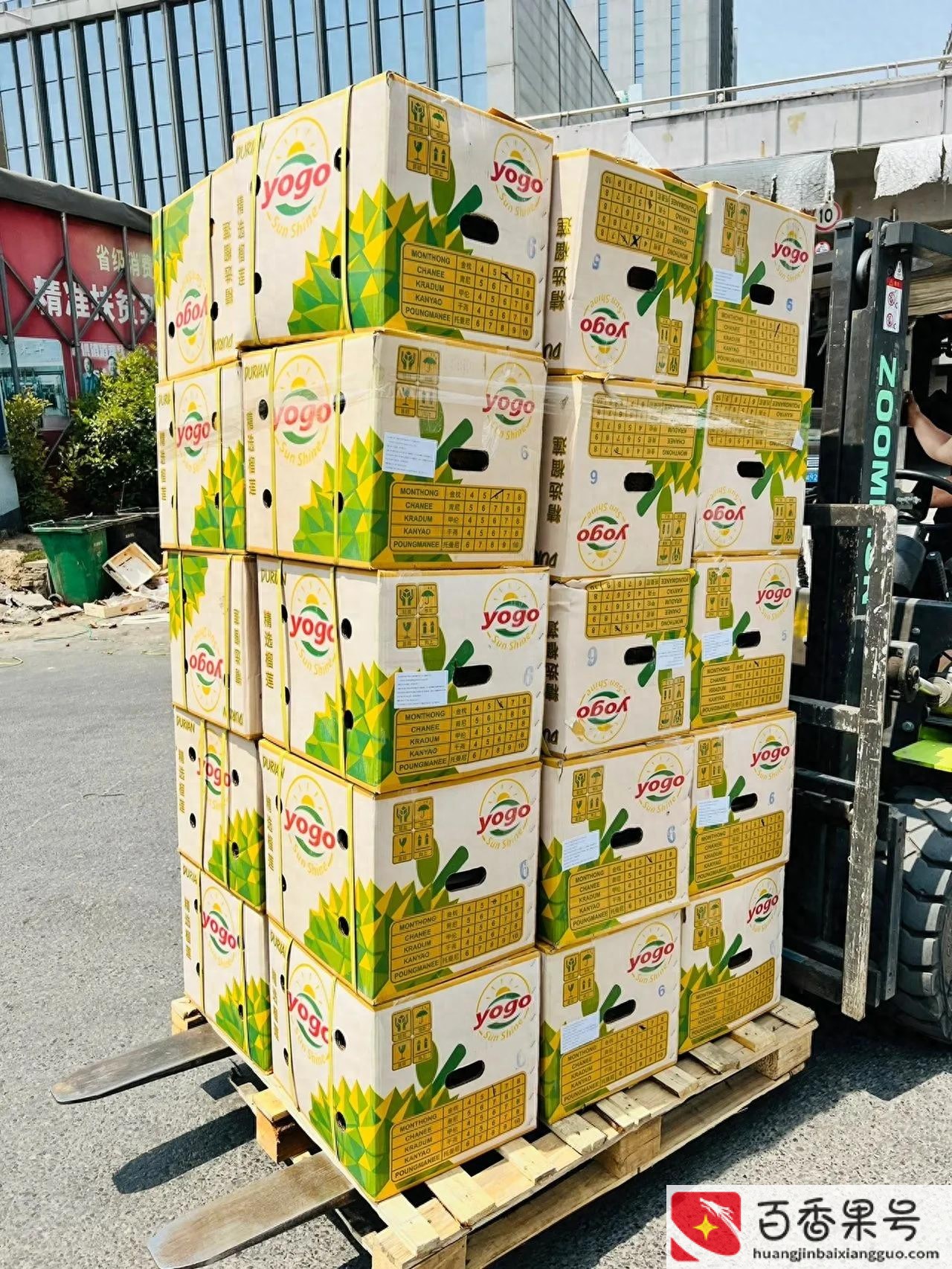 榴莲利润大概多少钱一斤