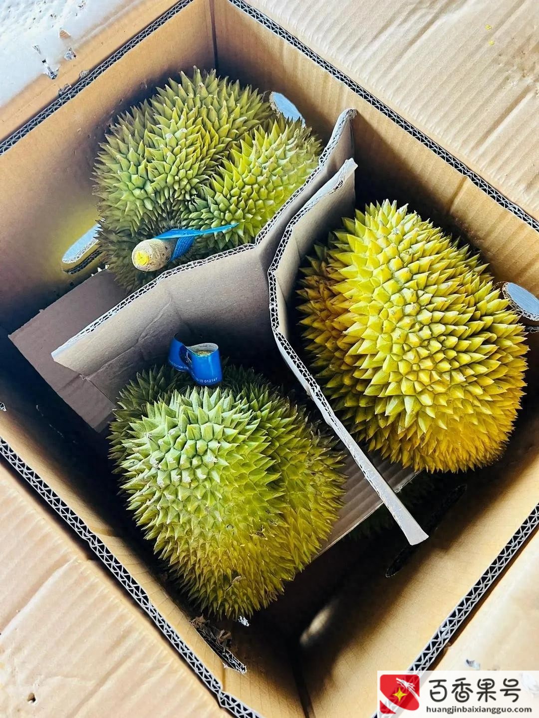 榴莲利润大概多少钱一斤