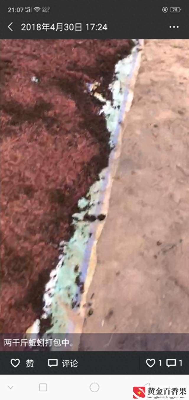 养蚯蚓一亩地要投资多少钱