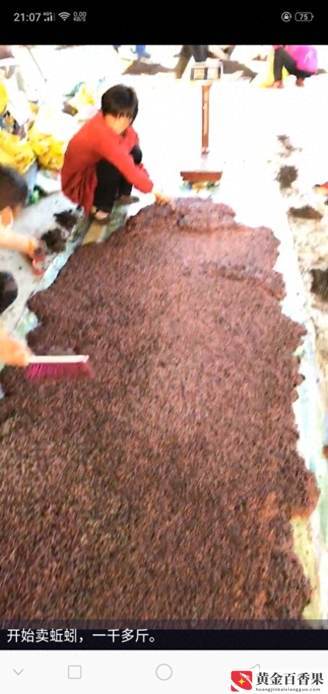 养蚯蚓一亩地要投资多少钱