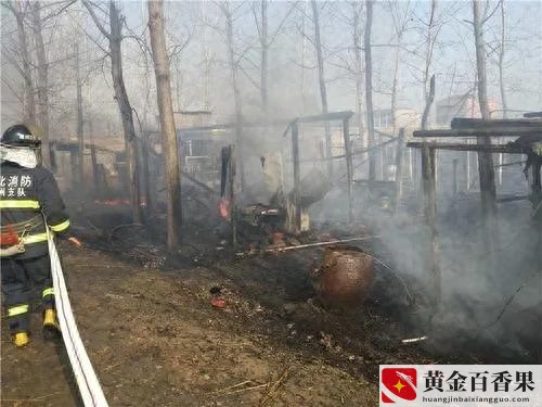 水蛭养殖真实利润有多少钱