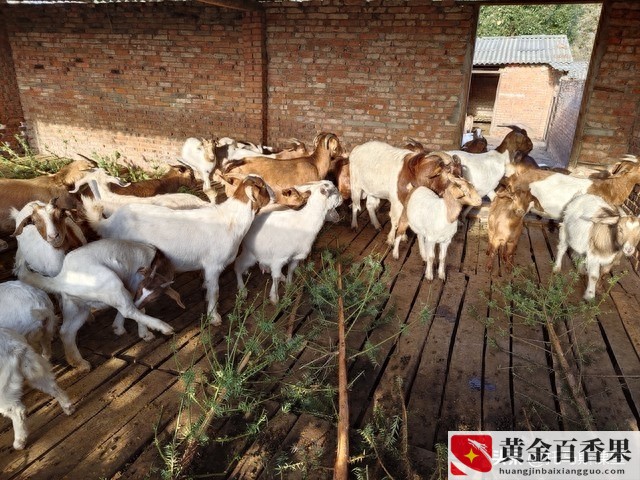 养殖证怎么办理