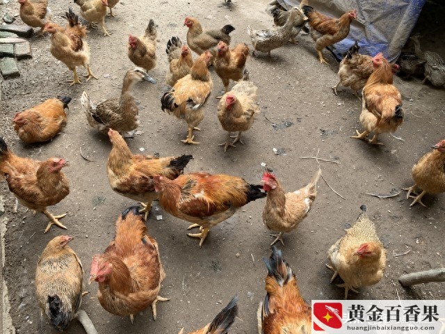 养殖证怎么办理