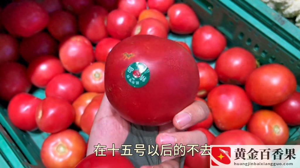 0人参保的公司可靠吗