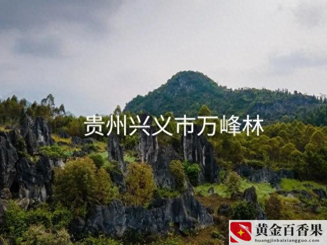 贵州彩礼一般是多少钱