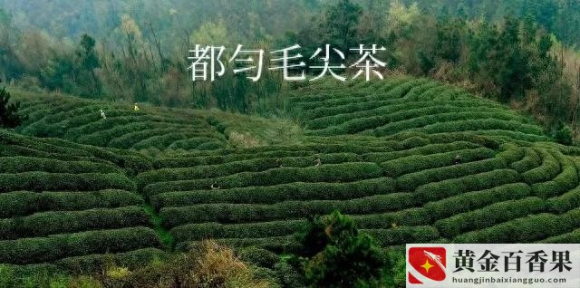 贵州彩礼一般是多少钱