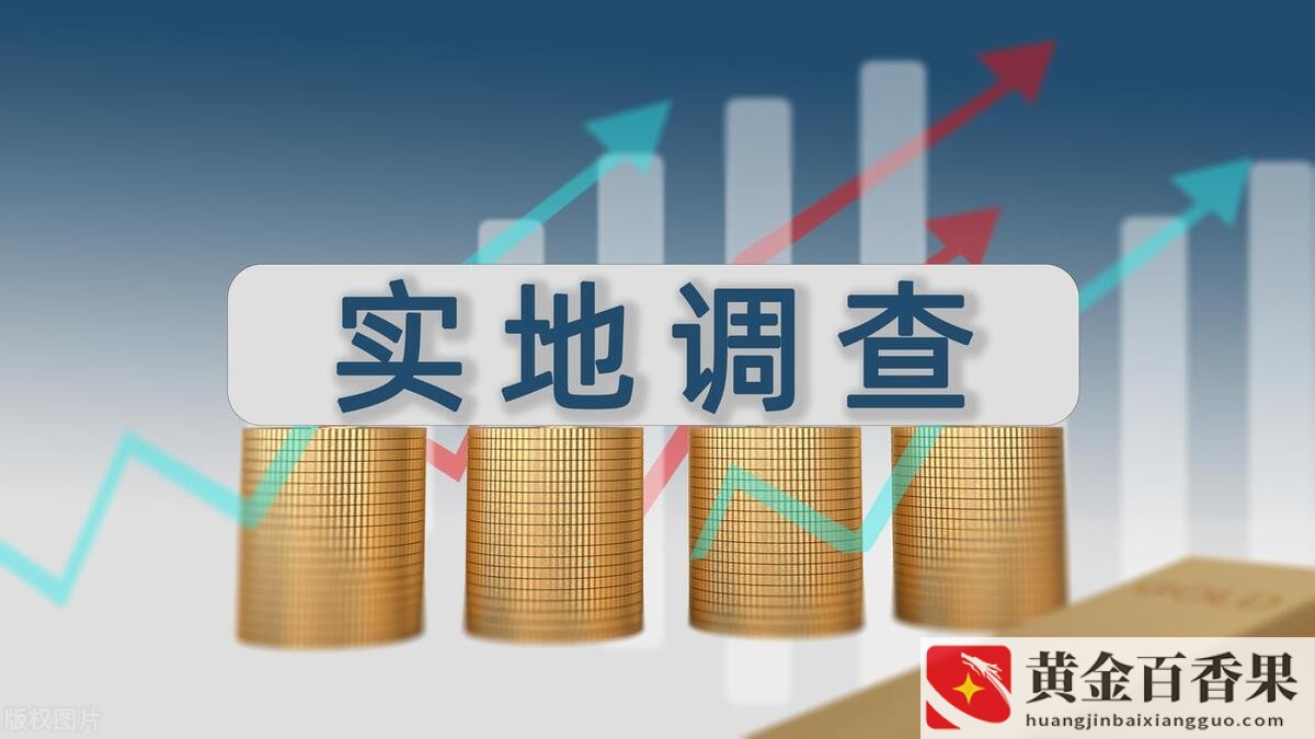 大学生社会实践活动有哪些