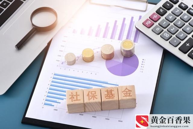 自费社保一年需交多少