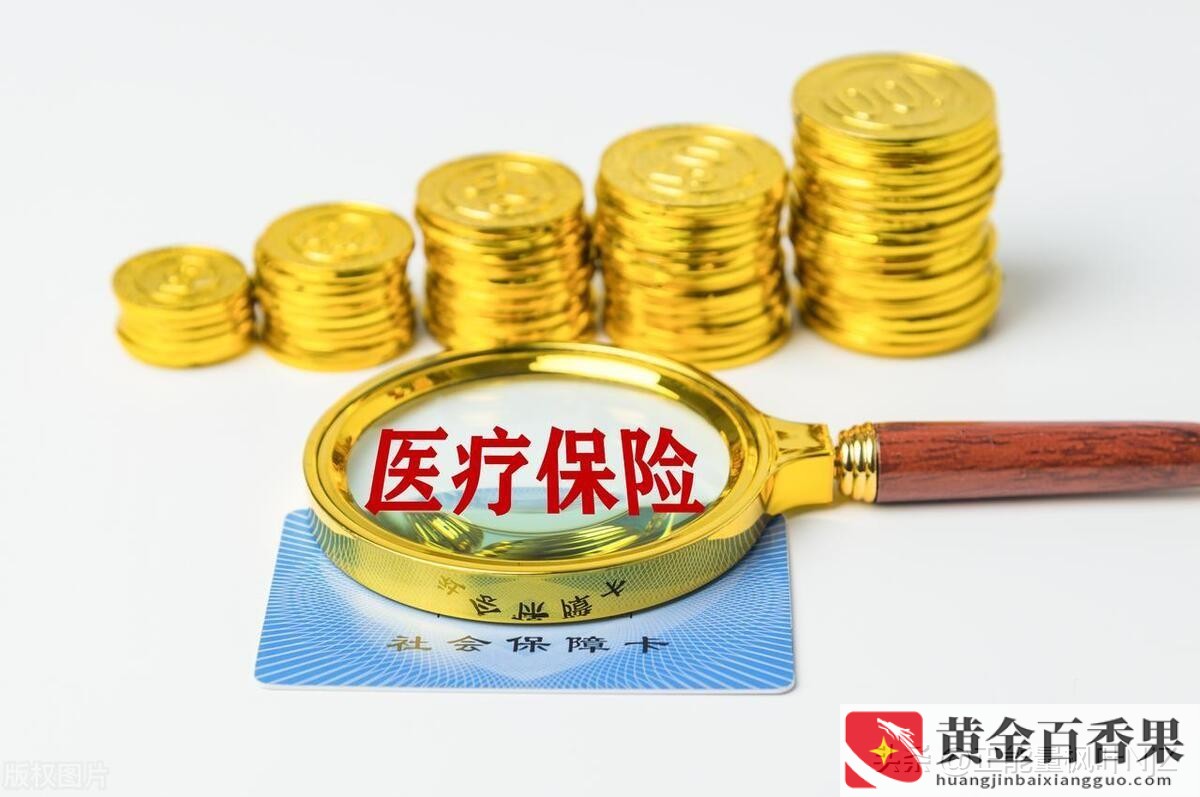 自费社保一年需交多少
