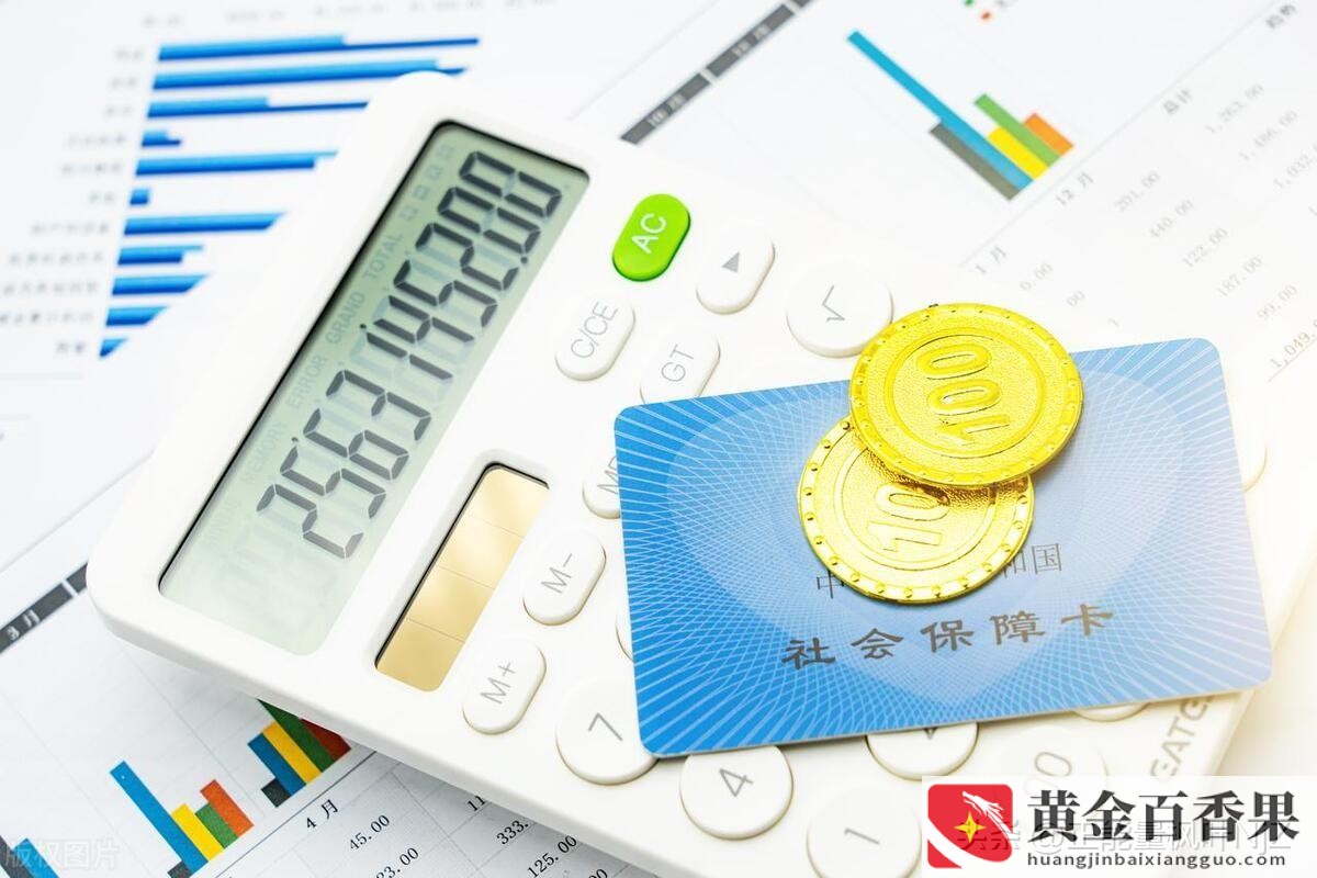 自费社保一年需交多少