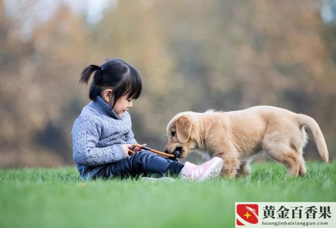 养狗养殖场需要办理什么手续