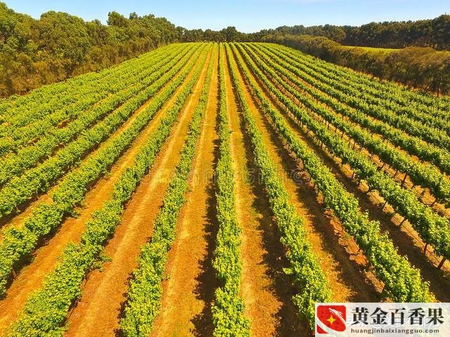 三线城市适合开什么店生意好