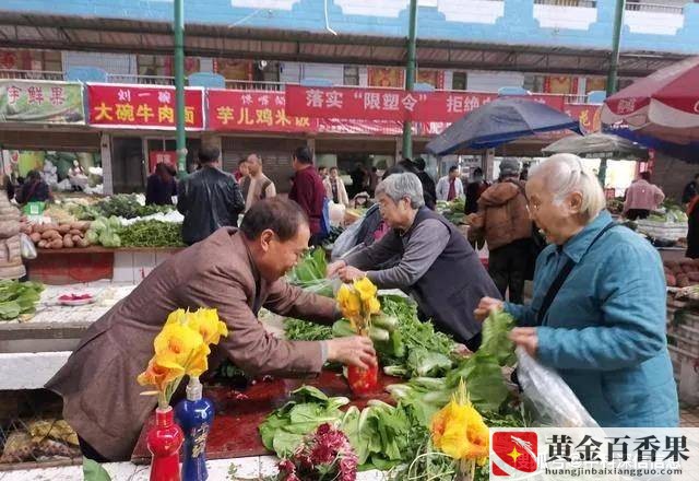 适合菜市场的独门生意
