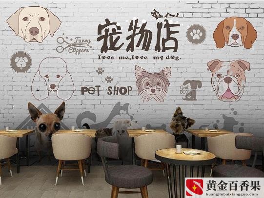 开宠物医院需要多少钱