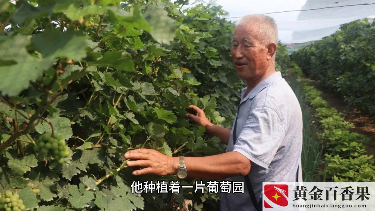 创业者个人或团队白手起家进行创业是指
