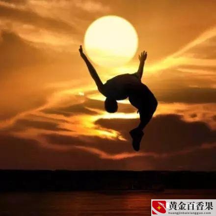 创业精神有哪些