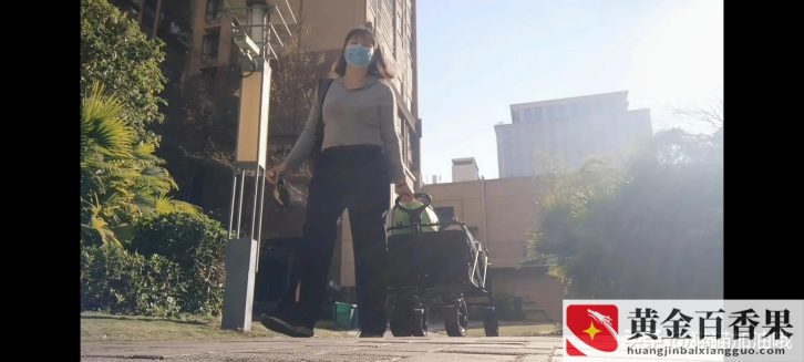 社恐人创业摆摊推荐
