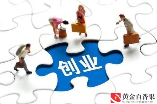 经典创业成功案例分析
