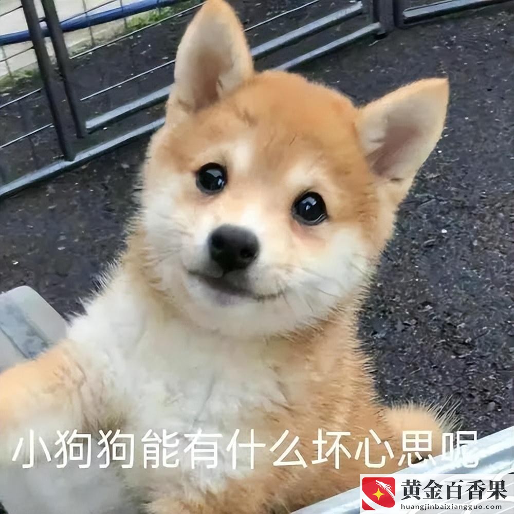 打工10年不如创业1年