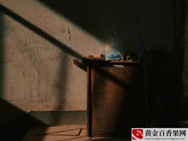 初入职场的期望与感受？初入职场的感受心得？