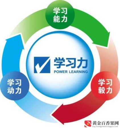 职场中的核心竞争力