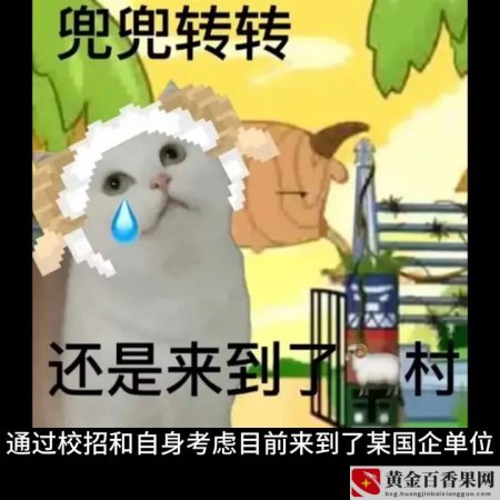 第一天上班的心情？第一天上班的感受？
