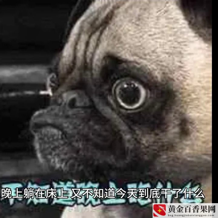 第一天上班的心情？第一天上班的感受？