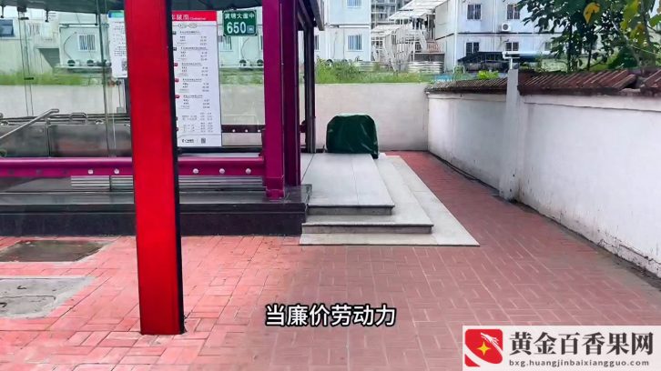 20岁没学历该干点什么