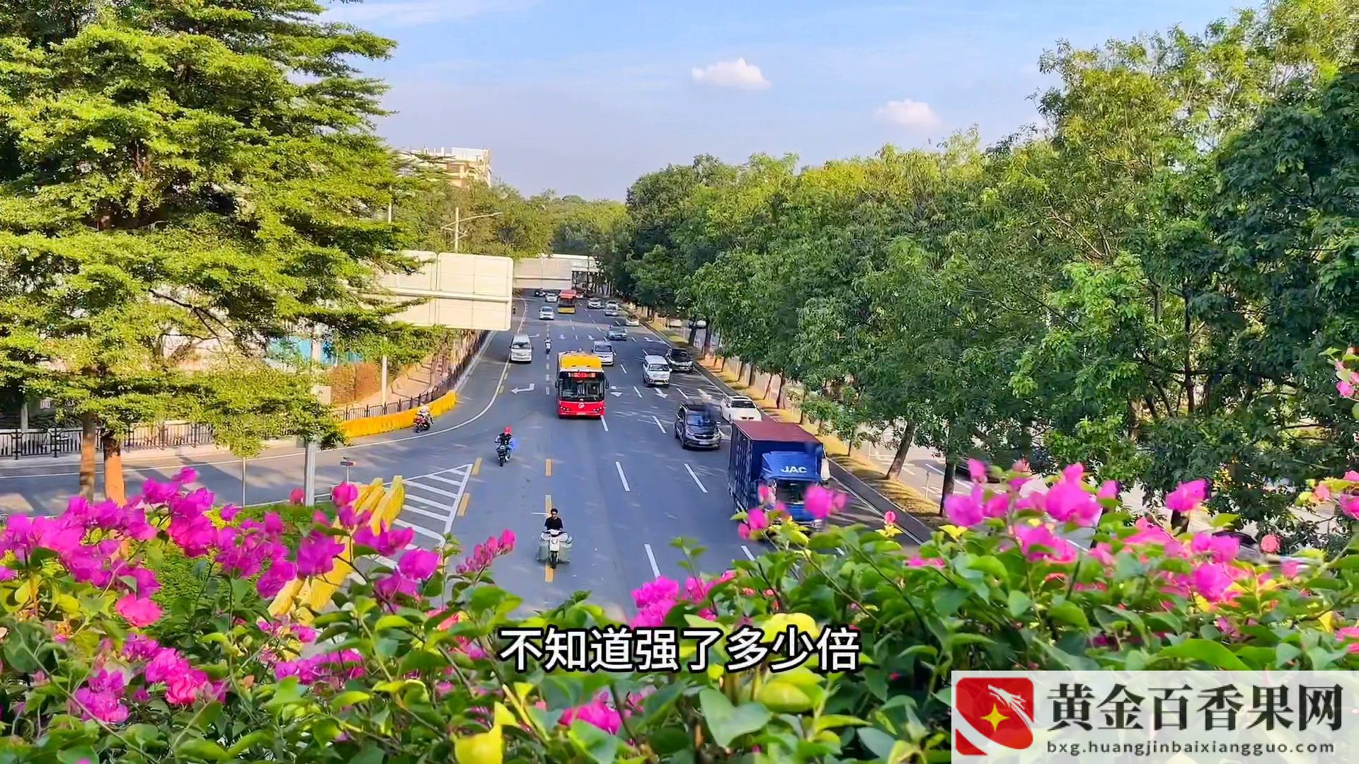 20岁没学历该干点什么