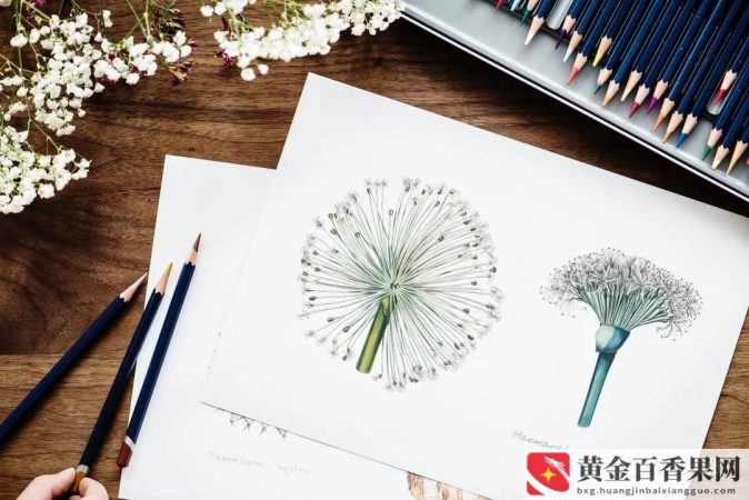 开会讲话怎么才能不紧张
