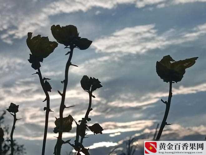 答应明天入职然后不去怎么办