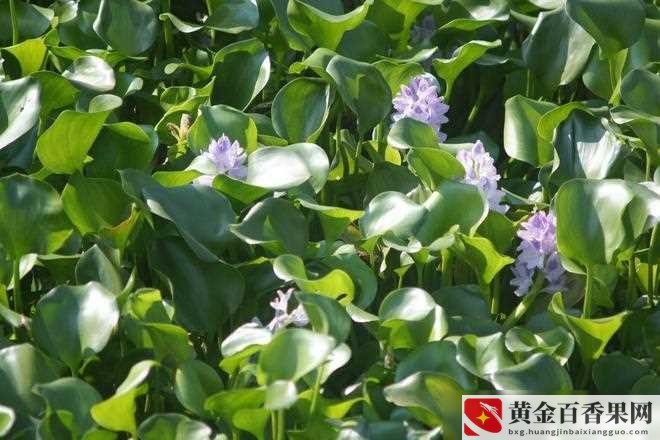 答应明天入职然后不去怎么办