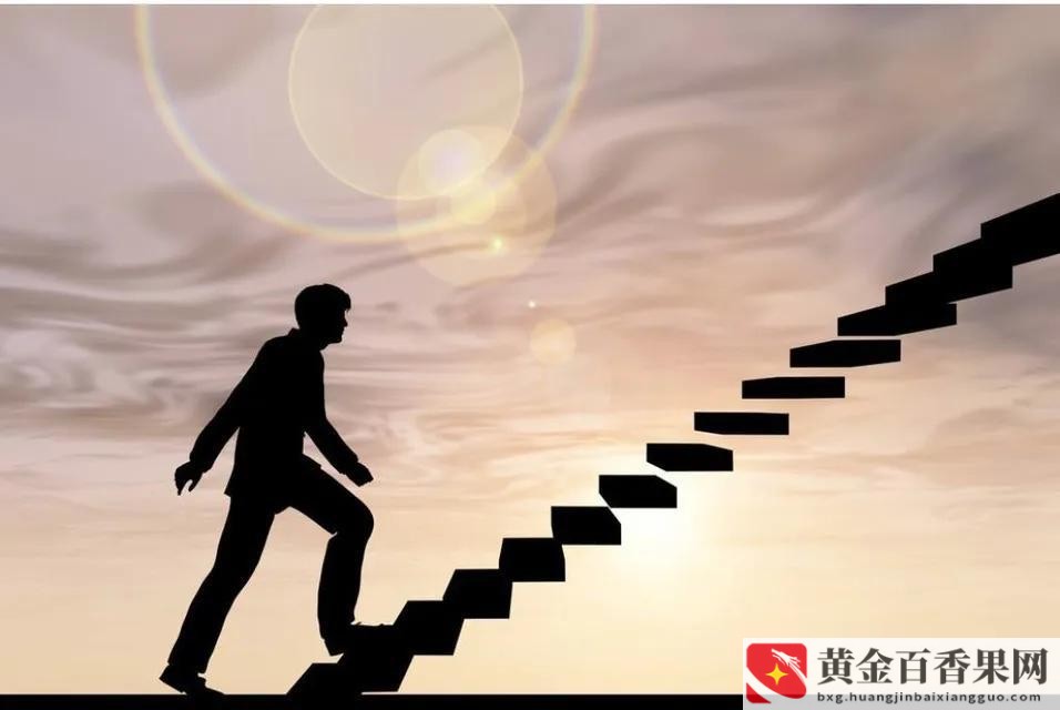 职业发展规划怎么写