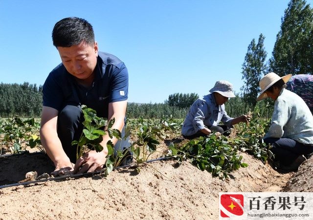 自己开店的职业是什么单位怎么填