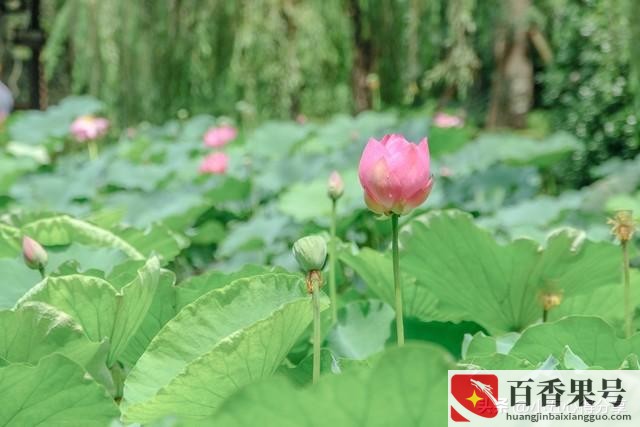 没本事人干什么挣钱