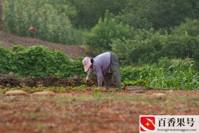 初中毕业干什么活最挣钱？体面又不看学历的工作？