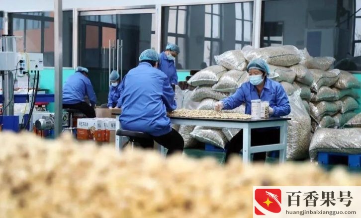 在农村做什么生意最赚钱最长远