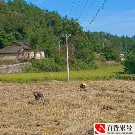 明年三大赚钱行业前景？明年做什么小生意致富？